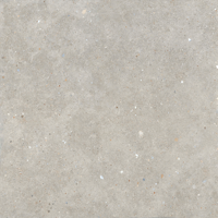 Vloertegel Glamstone Grey 120x120 rett | Geschikt als zowel vloertegel als wandtegel