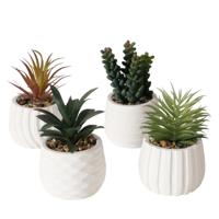 Boltze Home Kunstplant in witte pot h14cm