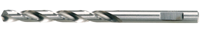 Festool Accessoires Spiraalboor HSS D 6/57 M/10 - 493443