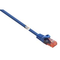 Renkforce RF-5043878 RJ45 Netwerkkabel, patchkabel CAT 6 U/UTP 0.25 m Blauw Snagless, Halogeenvrij 1 stuk(s) - thumbnail