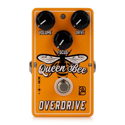 Caline CP-503 Queen Bee Overdrive Effectpedaal