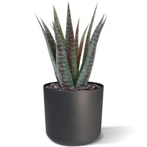 Aloë kunstplant 30cm