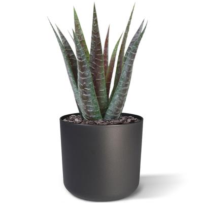 Aloë kunstplant 30cm