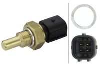 Temperatuursensor 6PT009309251