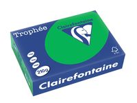 Clairefontaine Trophée Intens, gekleurd papier, A4, 210 g, 250 vel, bijartgroen - thumbnail