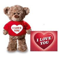 Knuffel teddybeer - met kaart A5 - i love you - 24 cm - pluche - met shirt