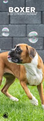 Boxer Slimline Kalender 2026