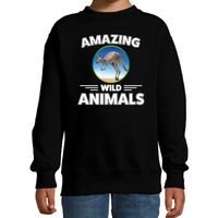 Sweater kangoeroes amazing wild animals / dieren trui zwart voor kinderen - thumbnail