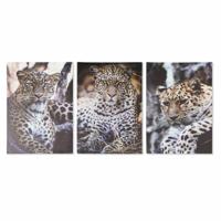 Schilderij DKD Home Decor Luipaard Koloniaal (50 x 1,8 x 70 cm)