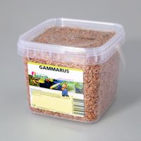 Gammarus 1.2 liter - Suren Collection - thumbnail