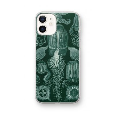 Haeckel Cubomedusae: iPhone 12 mini Transparant Hoesje