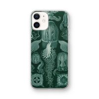 Haeckel Cubomedusae: iPhone 12 mini Transparant Hoesje