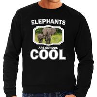 Sweater elephants are serious cool zwart heren - olifanten/ olifant met kalf trui 2XL  -