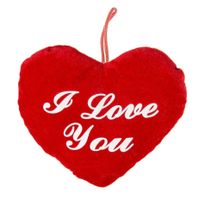 Pluche rood hart kussen I Love You 22 cm - thumbnail