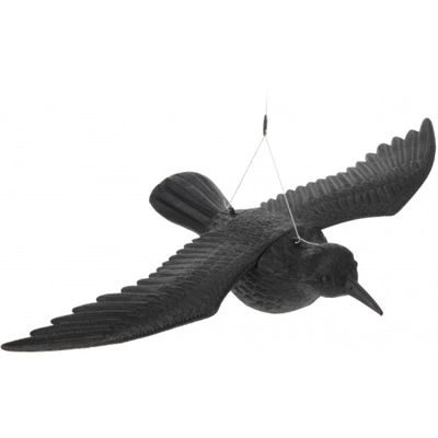Horror raaf/kraai hangdecoratie zwart van plastic 40 cm Horror raaf/kraai hangdecoratie zwart van plastic 40 cm