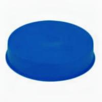 Wavin PVC Speciedeksel 32mm - Duurzame Bescherming voor Standaard Vijverbuisverbindingen