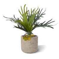 Hertshoorn kunstplant 50cm