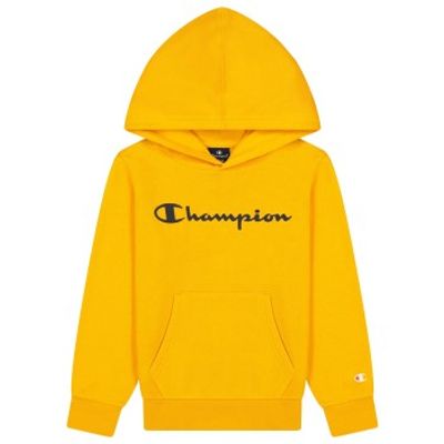 Champion Classics Hooded Sweatshirt For Boys