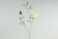 Kunstbloem Rosa S creme Countryfield - Countryfield