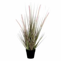 Mica Decorations Kunstplant Dogtail siergras - 54 cm - in zwarte pot