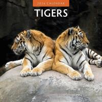 Tijger Kalender 2026