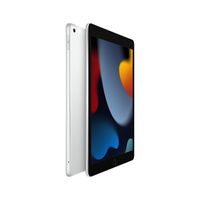 Apple iPad 4G LTE 256 GB 25,9 cm (10.2") Wi-Fi 5 (802.11ac) iPadOS 15 Zilver - thumbnail