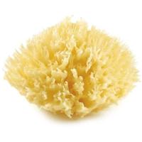 THERMOBABY Honingraat van Eponge de mer nr. 10