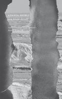 Een klein detail - Adania Shibli - ebook