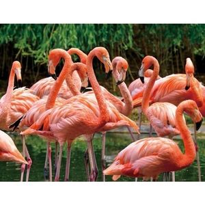 Dieren magneet 3D flamingo