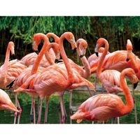 Dieren magneet 3D flamingo   -