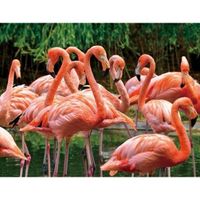 Dieren magneet 3D flamingo - thumbnail