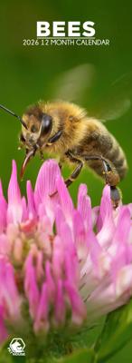 Bijen Slimline Kalender 2026