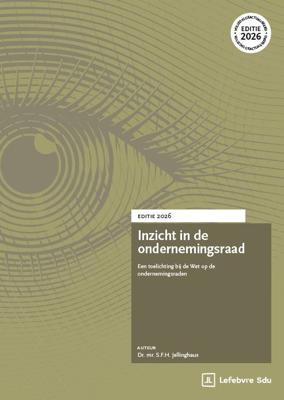 Inzicht in de ondernemingsraad (Paperback)