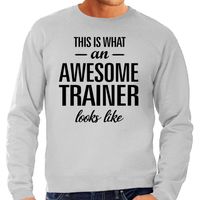 This is what an awesome trainer looks like cadeau sweater / trui grijs heren 2XL  - - thumbnail