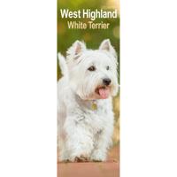 West Highland White Terrier Kalender 2026 Slimline