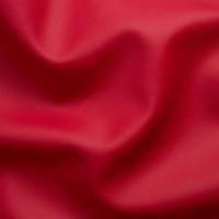 Cayenne 1117 - Rood Cayenne 1117 - Rood