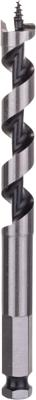 Bosch Accessoires Houtslangenboor, zeskant 14 x 100 x 160 mm, d 11,1 mm 1st - 2608585701