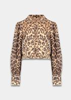 Harper & Yve Blouse AW25P609
