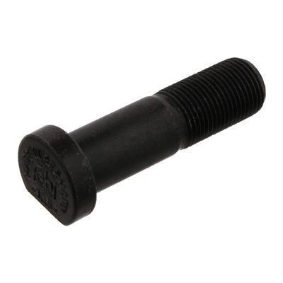 Wielbout 01647