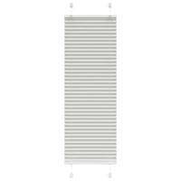 Pliss rolgordijn 40x100 cm stofbreedte 39,4 cm lichtgrijs