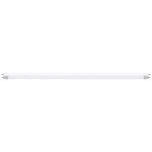 Paulmann LED-Buis Energielabel: F (A - G) G13 9.5 W Daglichtwit 1 stuk(s) (Ø x h) 28 mm x 604 mm