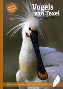 Vogels van Texel (Paperback)