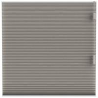 Leen Bakker - Fenstr Plisségordijn Chicago Dubbel 25mm Lichtdoorlatend - (30014) - Polyester - Taupe - 120x10x10 Cm