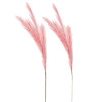 Kunstgras/rietgras/takken/losse steel - 2x - pluimen pampasgras - roze - 80 cm Kunstgras/rietgras/takken/losse steel - 2x - pluimen pampasgras - roze - 80 cm