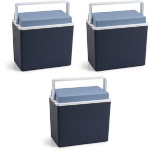 Koelbox - 3x - blauw - klein formaat - 10 liter - 30,5 cm - koelboxen