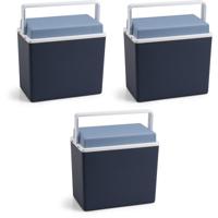 Koelbox - 3x - blauw - klein formaat - 10 liter - 30,5 cm - koelboxen
