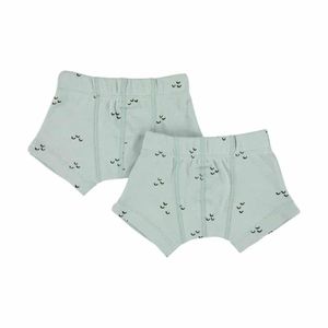 Trixie Baby set 2 boxers Mountains Maat