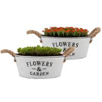 Plantenpot/bloempot schaal Jardin - 2x - rond - zink - wit - D25 x H11 cm