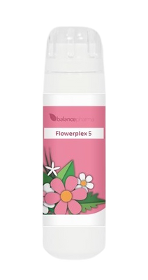 Balance Pharma Flowerplex 005 Energetische Bescherming
