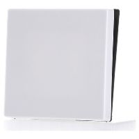 A 590 WW  - Cover plate for switch/push button white A 590 WW - thumbnail
